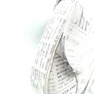 saddle dior newspaper