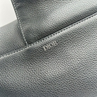 saddle Dior x shawn