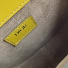Saddle man Dior in vernice