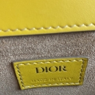 Saddle man Dior in vernice