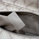SADLE DIOR LIMITED EDITION