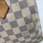Speedy 25 Louis Vuitton