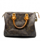 Speedy 25 Monogram Canvas