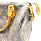 Speedy 25 Monogram Canvas