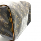 Speedy 25 Monogram Canvas