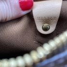 Speedy 25 monogram Louis Vuitton