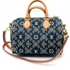 Speedy 25 Since 1854 de Louis Vuitton