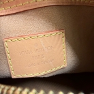 Speedy 25 Since 1854 de Louis Vuitton