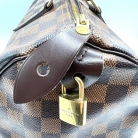 speedy 30 louis vuitton