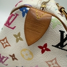 Speedy 30 Multicolor Murakami