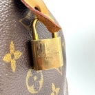 Speedy 40 Louis Vuitton