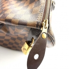 Speedy Damier