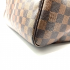 Speedy Damier
