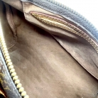 speedy louis vuitton