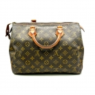 speedy louis vuitton