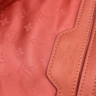 Tote Louis Vuitton edición limitada