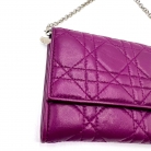 wallet on chain dior