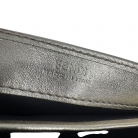 Wallet on Chain Fendi